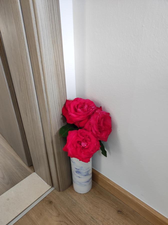 Apartman A&M Dubrovnik Dış mekan fotoğraf
